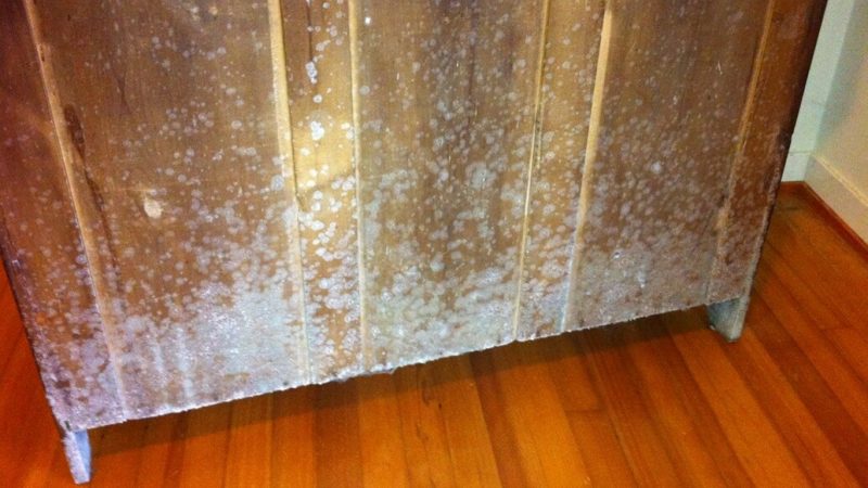 How To Clean Mold From Your Wooden Home Furniture Improvement - How Do You Get Mould Off Wooden Furniture How To Clean Mold From Your Wooden Home Furniture Improvement - How Do You Get Mould Off Wooden Furniture
