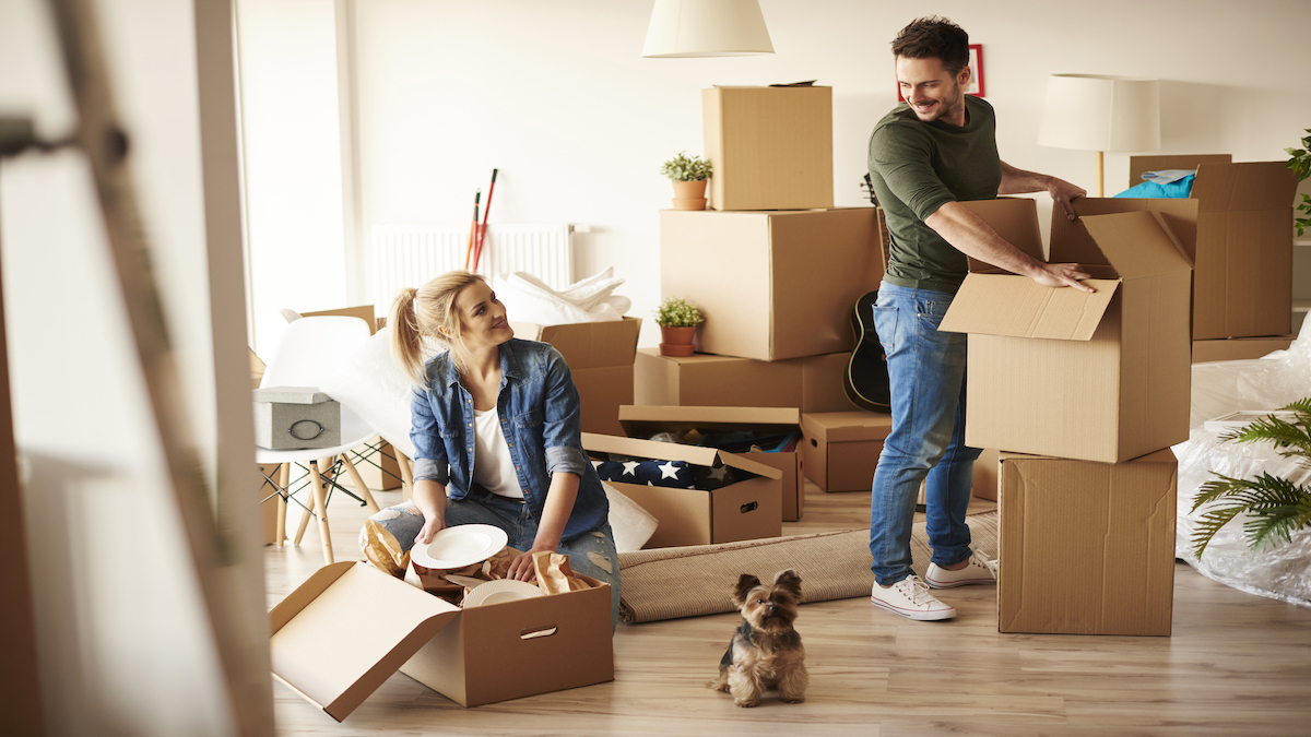 Working with Your Moving Company: Communication Tips for a Successful Move